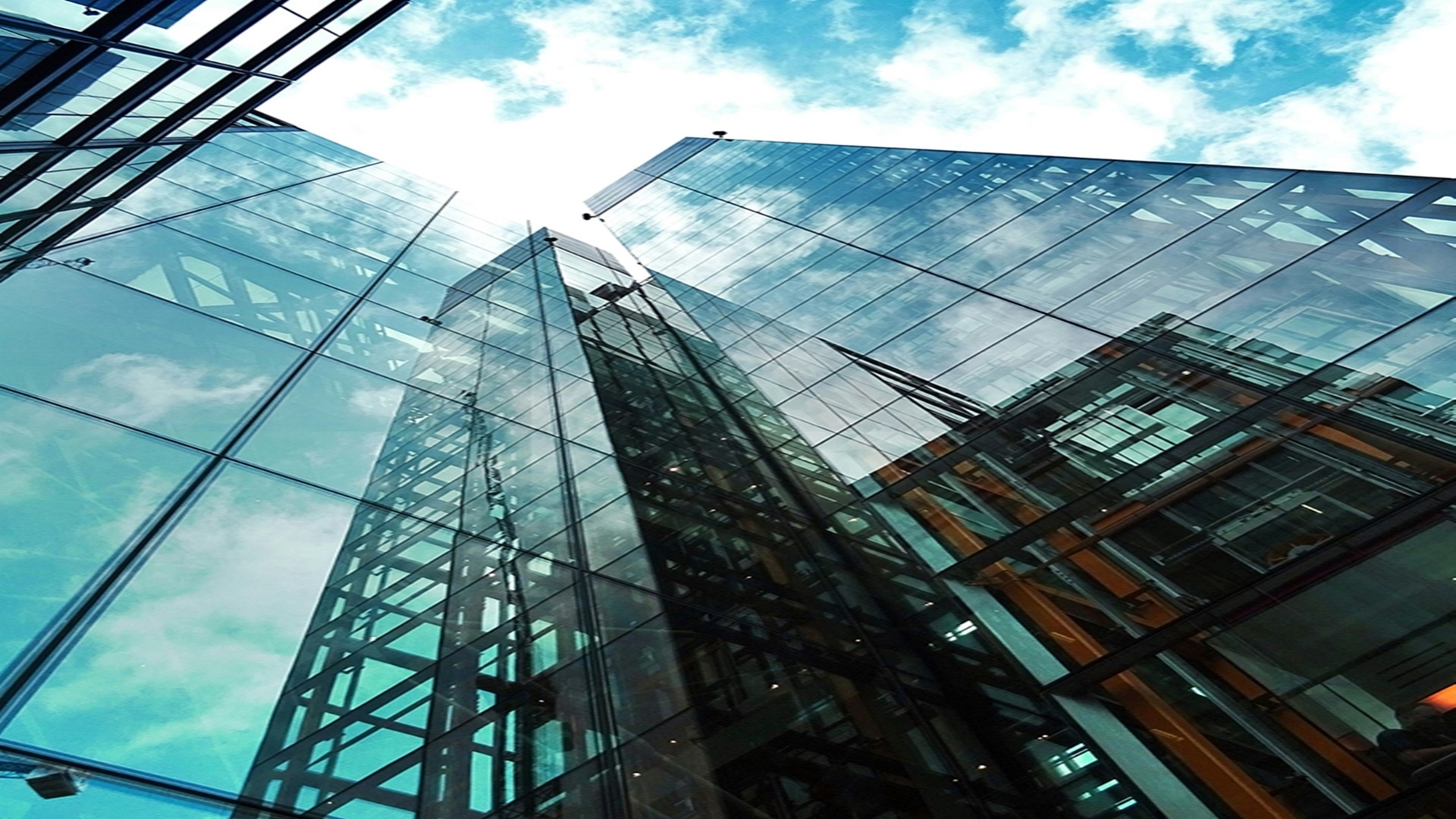 완주 삼례 대라수