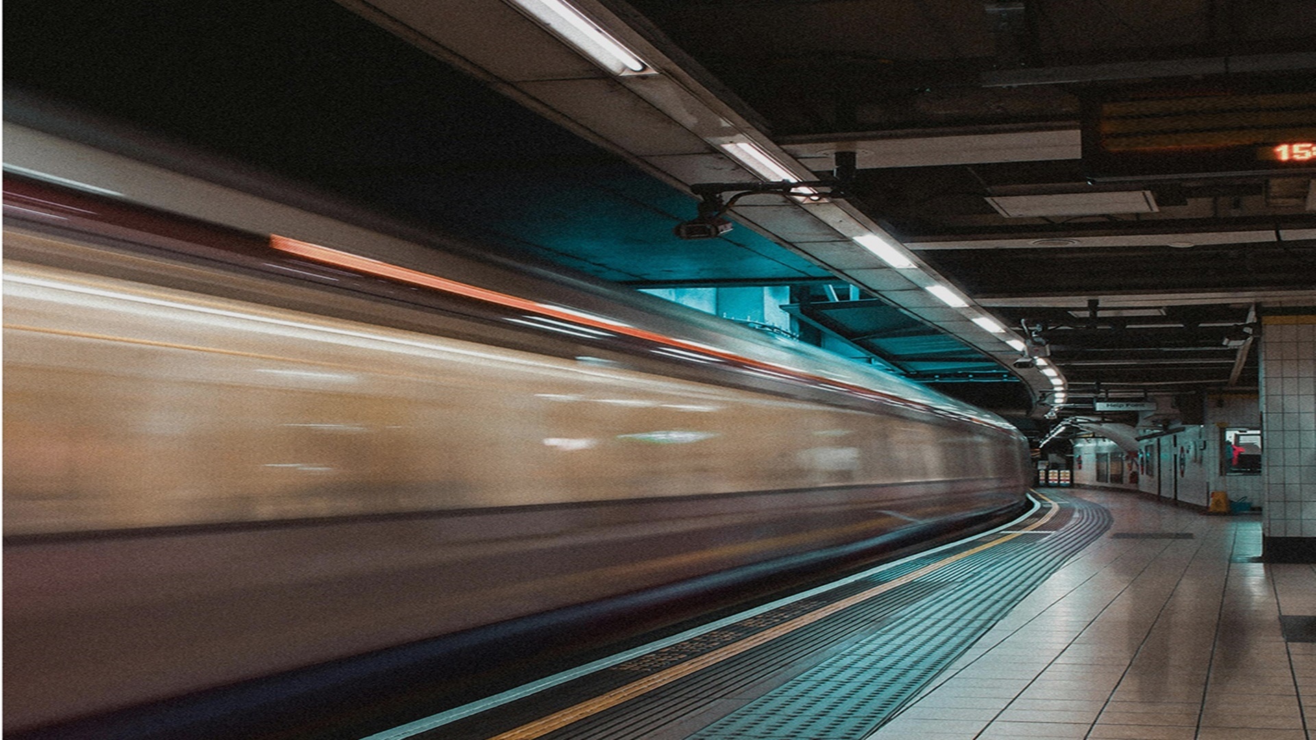 완주 삼례 대라수